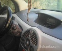 Renault Modus