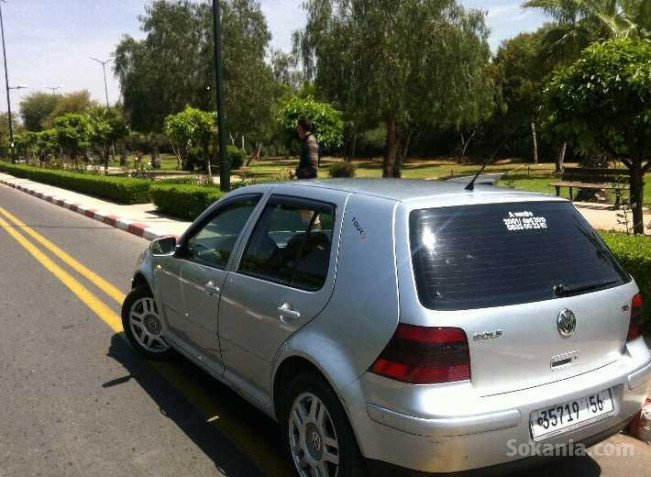 Golf 4 zibra