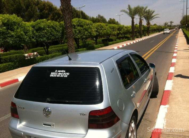 Golf 4 zibra