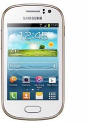 Samsung fame lite