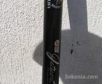 canne daiwa GS