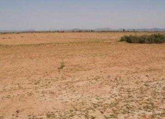 Terrain agricole de 10000 hectares