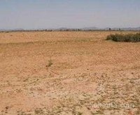 Terrain agricole de 10000 hectares