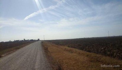 Terrain agricole 16 h Louisia région mohamadia
