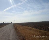 Terrain agricole 16 h Louisia région mohamadia