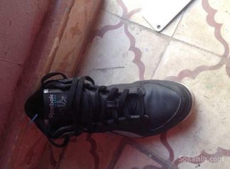 Spadri reebok