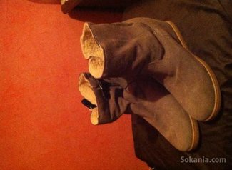 Chaussures north star