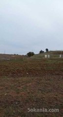 Vente ferme entre rabat sale