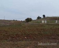 Vente ferme entre rabat sale