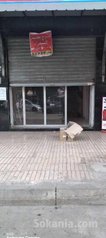 Magasin commercial