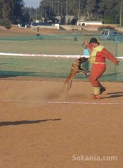 Dressage et elevage