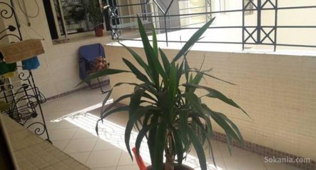 Appartement a vendre a jnane californie 2 c