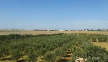 Terrain de 3000m² a vendre