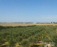 Terrain de 3000m² a vendre
