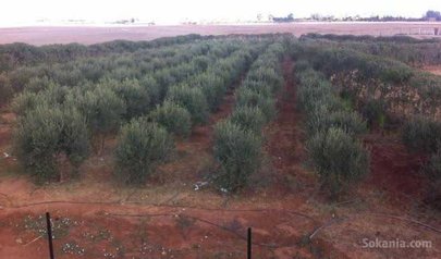 Terrain de 3000m² a vendre