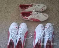 Godas a vendre