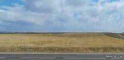 Terrain agricol 10ha sur la route facade bensliman
