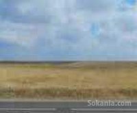 terrain agricol 10ha sur la route facade bensliman