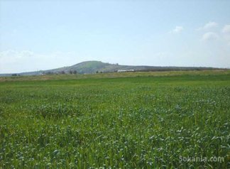 Terrain de 3,6 hectares à benslimane