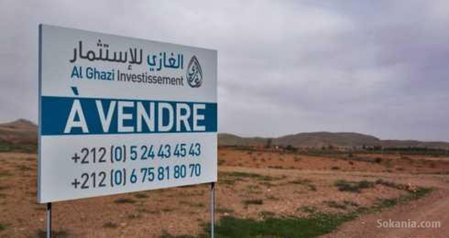 Terrain de 200 hectares à vendre , région rabat