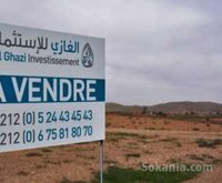 Terrain de 200 hectares à vendre , région rabat