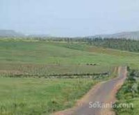 Terrain agricole 1 hect titré tnin chtouka