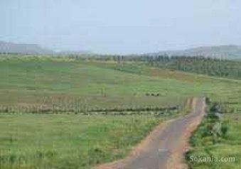 Terrain 1 hect tnin chtouka