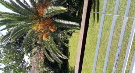 Villa Californie a vendre