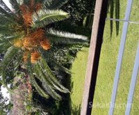 Villa Californie a vendre