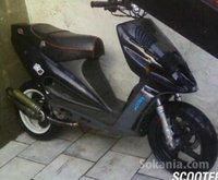Modelle 2000