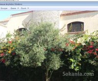 Vente villa a had soualem