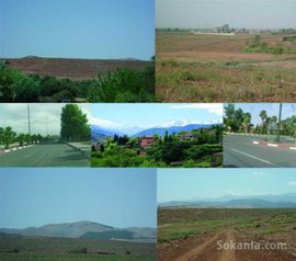 A vendre Très beau terrain a 30 km de Marrakech
