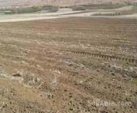 EN VENTE D'UN TERRAIN CULTIVABLE