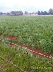 Ferme a sidi rehal