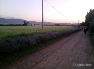 Terrain 700 m² a vendre a ourika