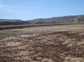 Vente des lots des terrains à douar maachat