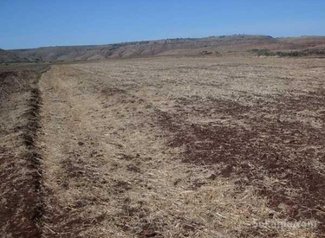 Vente des lots des terrains à douar maachat