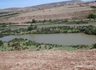 Vente des lots des terrains à douar maachat