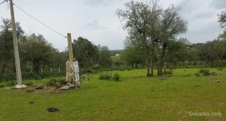 Ferme a region de benslimane