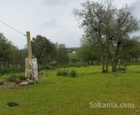 Ferme a region de benslimane