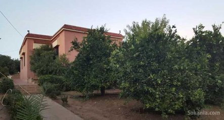 Fermes bien équipées à ras el ain pr. settat