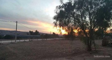 Fermes bien équipées à ras el ain pr. settat
