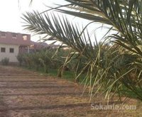 A vendre maison avec terrain de 3630 m2