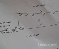 terrain a tiflet