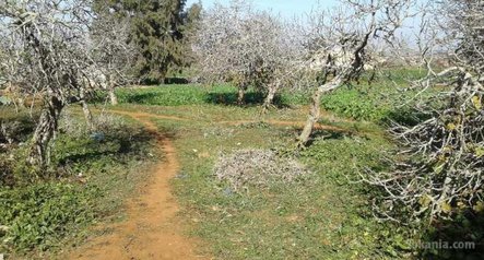 Ferme agricole titré (35000) à ain harrouda