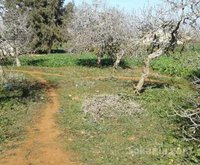 Ferme agricole titré (35000) à ain harrouda