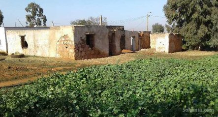 Ferme agricole titré (35000) à ain harrouda