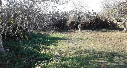 Ferme agricole titré (35000) à ain harrouda