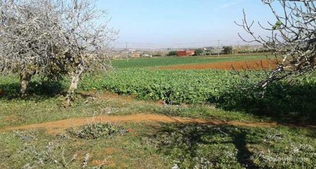 Ferme agricole titré (35000) à ain harrouda