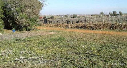 Ferme agricole titré (35000) à ain harrouda